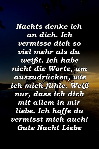 Nachts denke ich an dich. Ich vermisse dich so viel mehr als du weißt. Ich habe nicht die Worte, um auszudrücken, wie ich mich fühle. Weiß nur, dass ich dich mit allem in mir liebe. Ich hoffe du vermisst mich auch! Gute Nacht Liebe