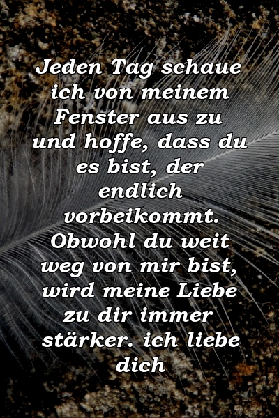 Jeden Tag schaue ich von meinem Fenster aus zu und hoffe, dass du es bist, der endlich vorbeikommt. Obwohl du weit weg von mir bist, wird meine Liebe zu dir immer stärker. ich liebe dich