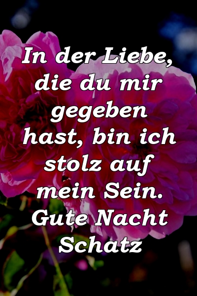 In der Liebe, die du mir gegeben hast, bin ich stolz auf mein Sein. Gute Nacht Schatz