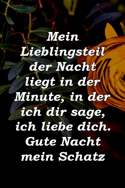 Mein Lieblingsteil der Nacht liegt in der Minute, in der ich dir sage, ich liebe dich. Gute Nacht mein Schatz