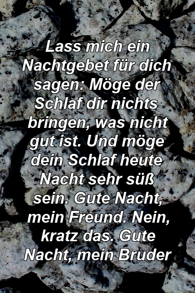 Lass mich ein Nachtgebet für dich sagen: Möge der Schlaf dir nichts bringen, was nicht gut ist. Und möge dein Schlaf heute Nacht sehr süß sein. Gute Nacht, mein Freund. Nein, kratz das. Gute Nacht, mein Bruder