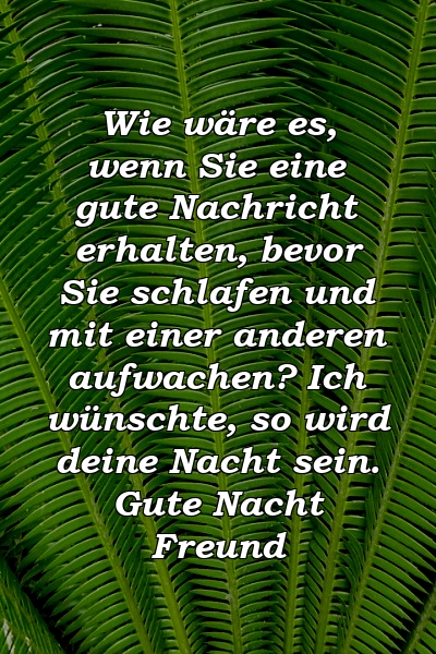 Wie wäre es, wenn Sie eine gute Nachricht erhalten, bevor Sie schlafen und mit einer anderen aufwachen? Ich wünschte, so wird deine Nacht sein. Gute Nacht Freund