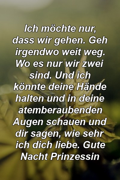 Ich möchte nur, dass wir gehen. Geh irgendwo weit weg. Wo es nur wir zwei sind. Und ich könnte deine Hände halten und in deine atemberaubenden Augen schauen und dir sagen, wie sehr ich dich liebe. Gute Nacht Prinzessin