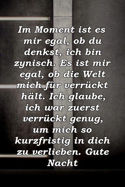 Im Moment ist es mir egal, ob du denkst, ich bin zynisch. Es ist mir egal, ob die Welt mich für verrückt hält. Ich glaube, ich war zuerst verrückt genug, um mich so kurzfristig in dich zu verlieben. Gute Nacht