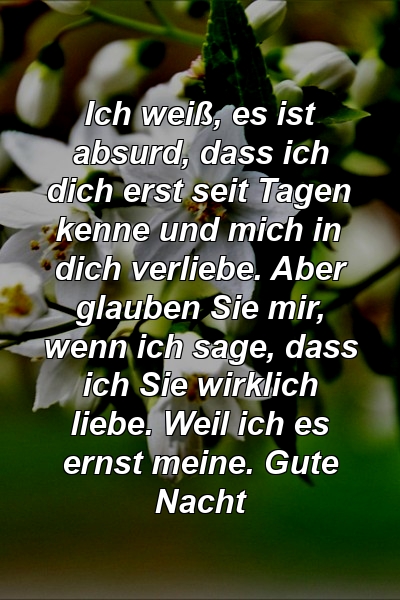 Ich weiß, es ist absurd, dass ich dich erst seit Tagen kenne und mich in dich verliebe. Aber glauben Sie mir, wenn ich sage, dass ich Sie wirklich liebe. Weil ich es ernst meine. Gute Nacht