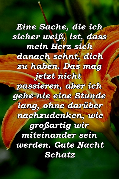 Eine Sache, die ich sicher weiß, ist, dass mein Herz sich danach sehnt, dich zu haben. Das mag jetzt nicht passieren, aber ich gehe nie eine Stunde lang, ohne darüber nachzudenken, wie großartig wir miteinander sein werden. Gute Nacht Schatz