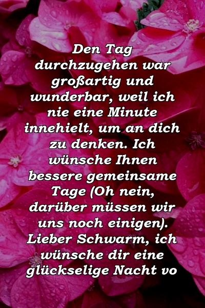 Den Tag durchzugehen war großartig und wunderbar, weil ich nie eine Minute innehielt, um an dich zu denken. Ich wünsche Ihnen bessere gemeinsame Tage (Oh nein, darüber müssen wir uns noch einigen). Lieber Schwarm, ich wünsche dir eine glückselige Nacht vo