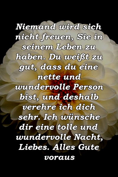 Niemand wird sich nicht freuen, Sie in seinem Leben zu haben. Du weißt zu gut, dass du eine nette und wundervolle Person bist, und deshalb verehre ich dich sehr. Ich wünsche dir eine tolle und wundervolle Nacht, Liebes. Alles Gute voraus