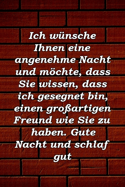 Ich wünsche Ihnen eine angenehme Nacht und möchte, dass Sie wissen, dass ich gesegnet bin, einen großartigen Freund wie Sie zu haben. Gute Nacht und schlaf gut