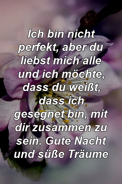 Ich bin nicht perfekt, aber du liebst mich alle und ich möchte, dass du weißt, dass ich gesegnet bin, mit dir zusammen zu sein. Gute Nacht und süße Träume