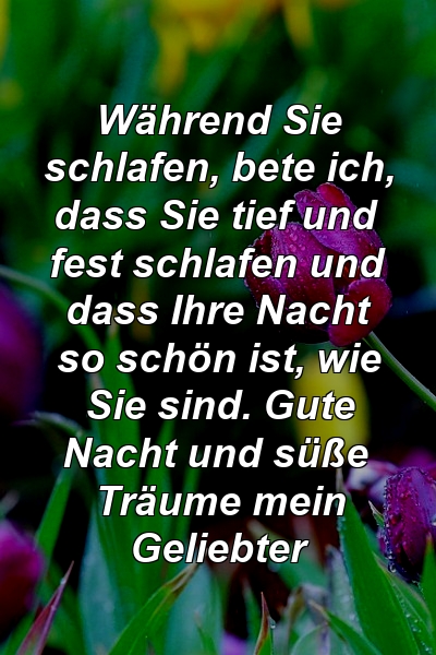 Während Sie schlafen, bete ich, dass Sie tief und fest schlafen und dass Ihre Nacht so schön ist, wie Sie sind. Gute Nacht und süße Träume mein Geliebter