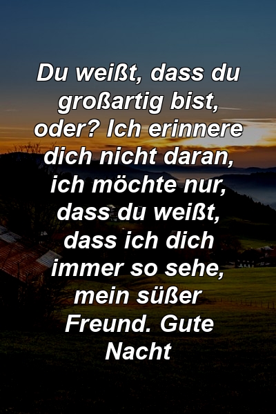 Du weißt, dass du großartig bist, oder? Ich erinnere dich nicht daran, ich möchte nur, dass du weißt, dass ich dich immer so sehe, mein süßer Freund. Gute Nacht