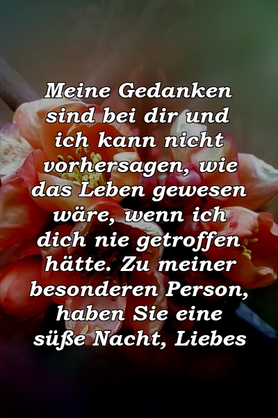 Meine Gedanken sind bei dir und ich kann nicht vorhersagen, wie das Leben gewesen wäre, wenn ich dich nie getroffen hätte. Zu meiner besonderen Person, haben Sie eine süße Nacht, Liebes