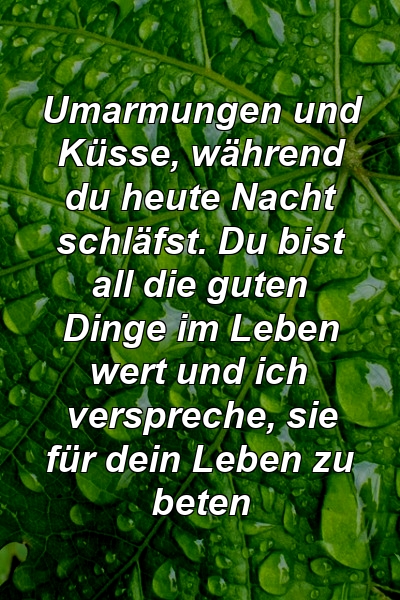 Umarmungen und Küsse, während du heute Nacht schläfst. Du bist all die guten Dinge im Leben wert und ich verspreche, sie für dein Leben zu beten