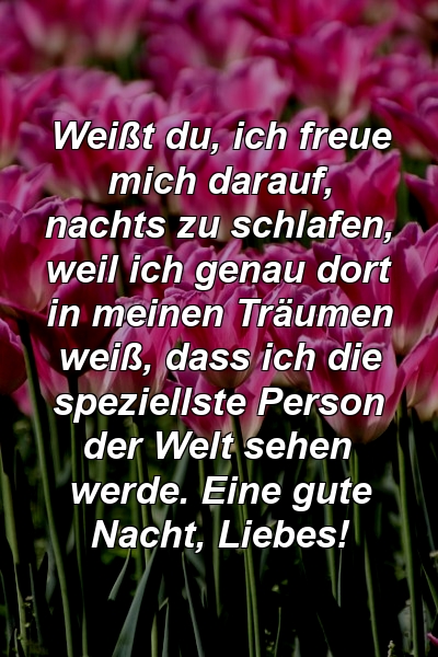 Weißt du, ich freue mich darauf, nachts zu schlafen, weil ich genau dort in meinen Träumen weiß, dass ich die speziellste Person der Welt sehen werde. Eine gute Nacht, Liebes!