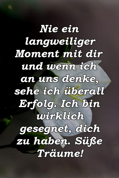 Nie ein langweiliger Moment mit dir und wenn ich an uns denke, sehe ich überall Erfolg. Ich bin wirklich gesegnet, dich zu haben. Süße Träume!