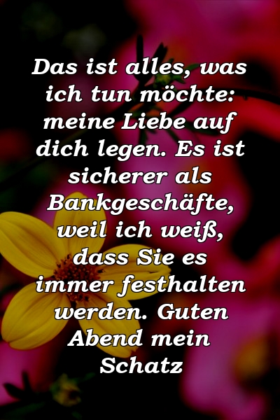 Das ist alles, was ich tun möchte: meine Liebe auf dich legen. Es ist sicherer als Bankgeschäfte, weil ich weiß, dass Sie es immer festhalten werden. Guten Abend mein Schatz