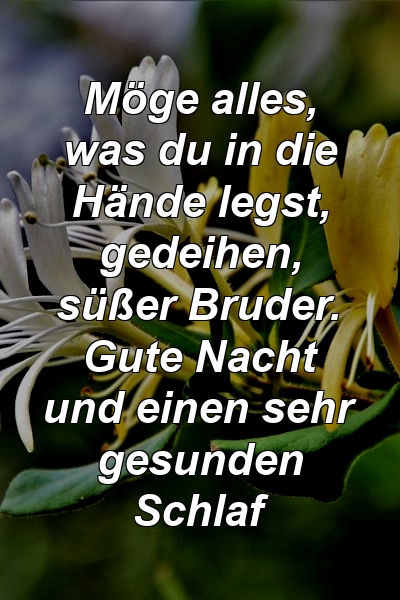 Möge alles, was du in die Hände legst, gedeihen, süßer Bruder. Gute Nacht und einen sehr gesunden Schlaf