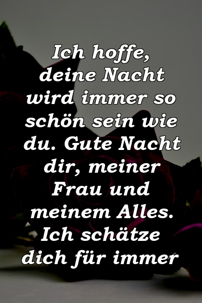 Ich hoffe, deine Nacht wird immer so schön sein wie du. Gute Nacht dir, meiner Frau und meinem Alles. Ich schätze dich für immer