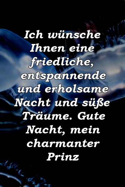 Ich wünsche Ihnen eine friedliche, entspannende und erholsame Nacht und süße Träume. Gute Nacht, mein charmanter Prinz