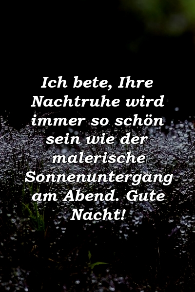 Ich bete, Ihre Nachtruhe wird immer so schön sein wie der malerische Sonnenuntergang am Abend. Gute Nacht!