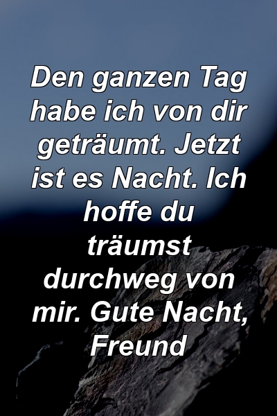 Den ganzen Tag habe ich von dir geträumt. Jetzt ist es Nacht. Ich hoffe du träumst durchweg von mir. Gute Nacht, Freund