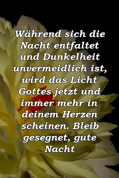 Während sich die Nacht entfaltet und Dunkelheit unvermeidlich ist, wird das Licht Gottes jetzt und immer mehr in deinem Herzen scheinen. Bleib gesegnet, gute Nacht