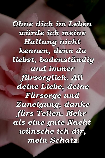 Ohne dich im Leben würde ich meine Haltung nicht kennen, denn du liebst, bodenständig und immer fürsorglich. All deine Liebe, deine Fürsorge und Zuneigung, danke fürs Teilen. Mehr als eine gute Nacht wünsche ich dir, mein Schatz