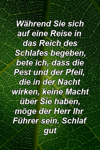 Während Sie sich auf eine Reise in das Reich des Schlafes begeben, bete ich, dass die Pest und der Pfeil, die in der Nacht wirken, keine Macht über Sie haben, möge der Herr Ihr Führer sein. Schlaf gut