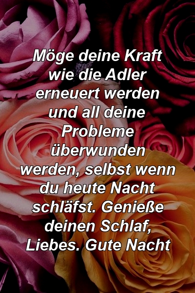 Möge deine Kraft wie die Adler erneuert werden und all deine Probleme überwunden werden, selbst wenn du heute Nacht schläfst. Genieße deinen Schlaf, Liebes. Gute Nacht