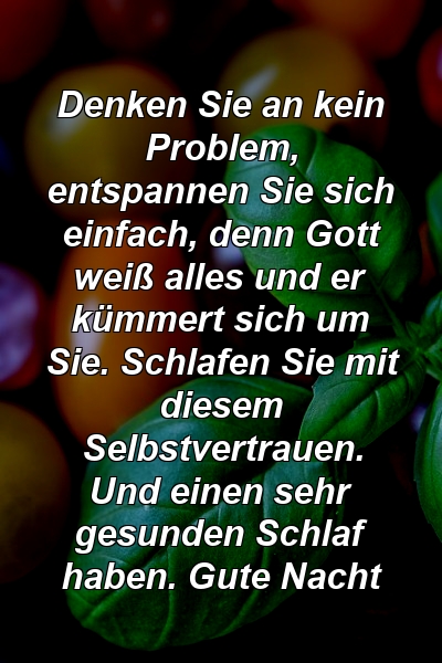 Denken Sie an kein Problem, entspannen Sie sich einfach, denn Gott weiß alles und er kümmert sich um Sie. Schlafen Sie mit diesem Selbstvertrauen. Und einen sehr gesunden Schlaf haben. Gute Nacht