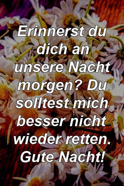 Erinnerst du dich an unsere Nacht morgen? Du solltest mich besser nicht wieder retten. Gute Nacht!