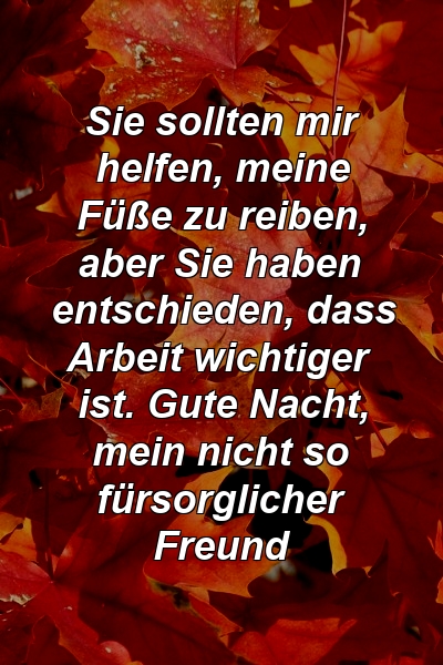 Sie sollten mir helfen, meine Füße zu reiben, aber Sie haben entschieden, dass Arbeit wichtiger ist. Gute Nacht, mein nicht so fürsorglicher Freund