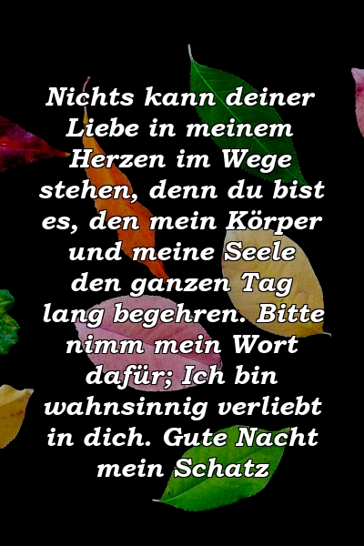 Nichts kann deiner Liebe in meinem Herzen im Wege stehen, denn du bist es, den mein Körper und meine Seele den ganzen Tag lang begehren. Bitte nimm mein Wort dafür; Ich bin wahnsinnig verliebt in dich. Gute Nacht mein Schatz