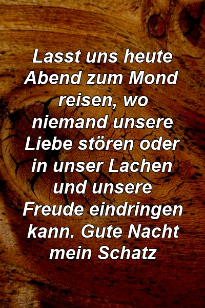 Lasst uns heute Abend zum Mond reisen, wo niemand unsere Liebe stören oder in unser Lachen und unsere Freude eindringen kann. Gute Nacht mein Schatz