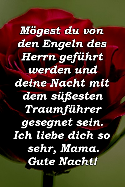 Mögest du von den Engeln des Herrn geführt werden und deine Nacht mit dem süßesten Traumführer gesegnet sein. Ich liebe dich so sehr, Mama. Gute Nacht!