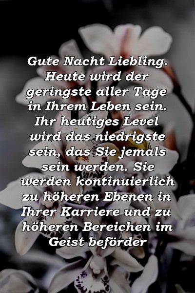 Gute Nacht Liebling. Heute wird der geringste aller Tage in Ihrem Leben sein. Ihr heutiges Level wird das niedrigste sein, das Sie jemals sein werden. Sie werden kontinuierlich zu höheren Ebenen in Ihrer Karriere und zu höheren Bereichen im Geist beförder