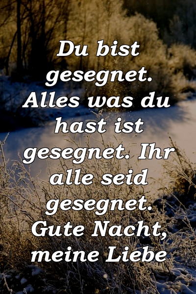 Du bist gesegnet. Alles was du hast ist gesegnet. Ihr alle seid gesegnet. Gute Nacht, meine Liebe