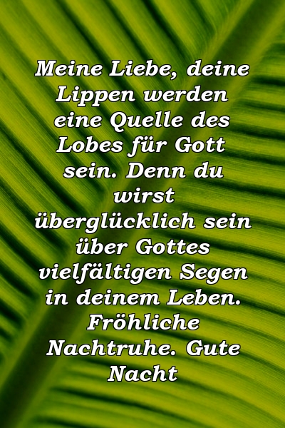 Meine Liebe, deine Lippen werden eine Quelle des Lobes für Gott sein. Denn du wirst überglücklich sein über Gottes vielfältigen Segen in deinem Leben. Fröhliche Nachtruhe. Gute Nacht