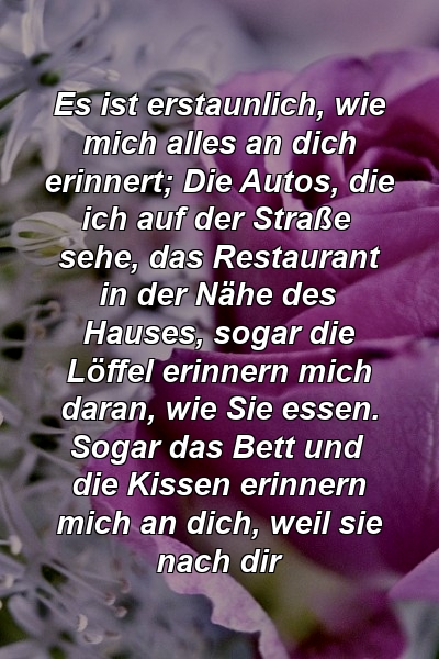 Es ist erstaunlich, wie mich alles an dich erinnert; Die Autos, die ich auf der Straße sehe, das Restaurant in der Nähe des Hauses, sogar die Löffel erinnern mich daran, wie Sie essen. Sogar das Bett und die Kissen erinnern mich an dich, weil sie nach dir