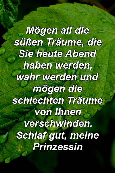 Mögen all die süßen Träume, die Sie heute Abend haben werden, wahr werden und mögen die schlechten Träume von Ihnen verschwinden. Schlaf gut, meine Prinzessin