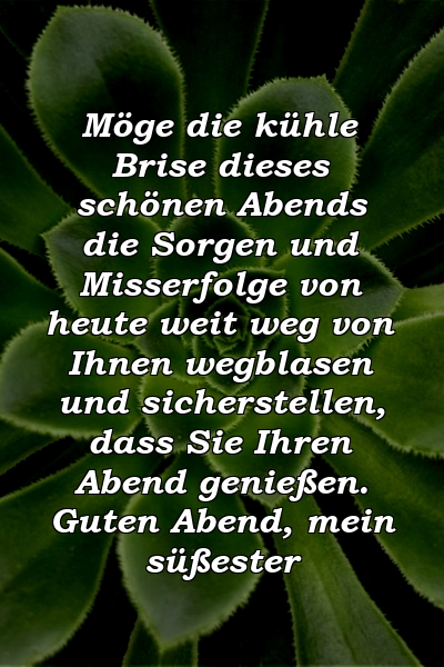 Möge die kühle Brise dieses schönen Abends die Sorgen und Misserfolge von heute weit weg von Ihnen wegblasen und sicherstellen, dass Sie Ihren Abend genießen. Guten Abend, mein süßester