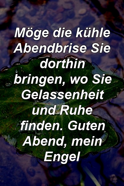 Möge die kühle Abendbrise Sie dorthin bringen, wo Sie Gelassenheit und Ruhe finden. Guten Abend, mein Engel