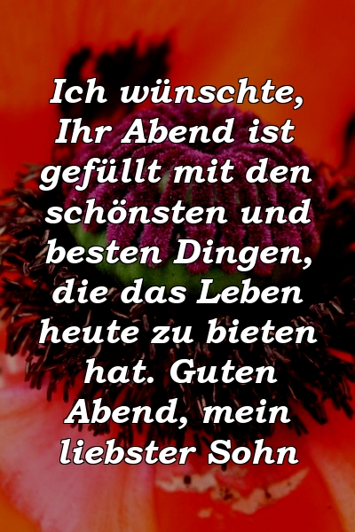 Ich wünschte, Ihr Abend ist gefüllt mit den schönsten und besten Dingen, die das Leben heute zu bieten hat. Guten Abend, mein liebster Sohn