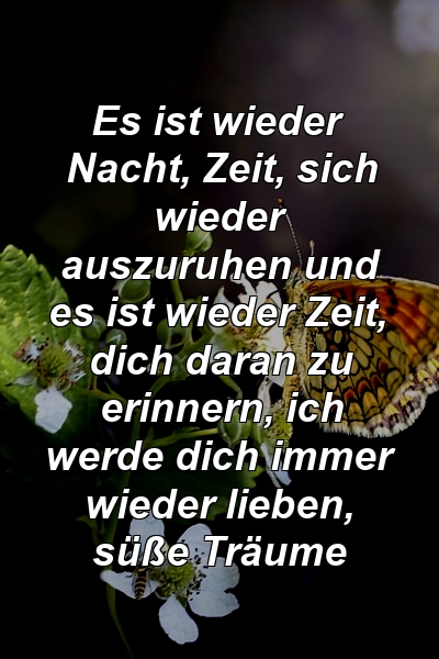 Es ist wieder Nacht, Zeit, sich wieder auszuruhen und es ist wieder Zeit, dich daran zu erinnern, ich werde dich immer wieder lieben, süße Träume