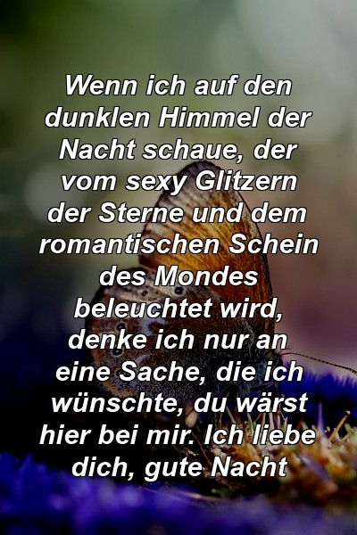 Wenn ich auf den dunklen Himmel der Nacht schaue, der vom sexy Glitzern der Sterne und dem romantischen Schein des Mondes beleuchtet wird, denke ich nur an eine Sache, die ich wünschte, du wärst hier bei mir. Ich liebe dich, gute Nacht