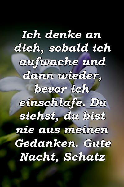 Ich denke an dich, sobald ich aufwache und dann wieder, bevor ich einschlafe. Du siehst, du bist nie aus meinen Gedanken. Gute Nacht, Schatz