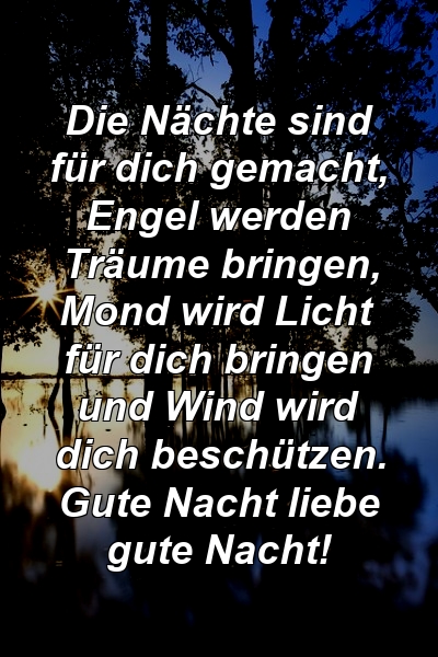 Die Nächte sind für dich gemacht, Engel werden Träume bringen, Mond wird Licht für dich bringen und Wind wird dich beschützen. Gute Nacht liebe gute Nacht!