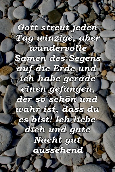 Gott streut jeden Tag winzige, aber wundervolle Samen des Segens auf die Erde und ich habe gerade einen gefangen, der so schön und wahr ist, dass du es bist! Ich liebe dich und gute Nacht gut aussehend