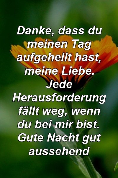 Danke, dass du meinen Tag aufgehellt hast, meine Liebe. Jede Herausforderung fällt weg, wenn du bei mir bist. Gute Nacht gut aussehend